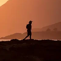 Solo